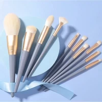 10 Pis Makeup Brush Set